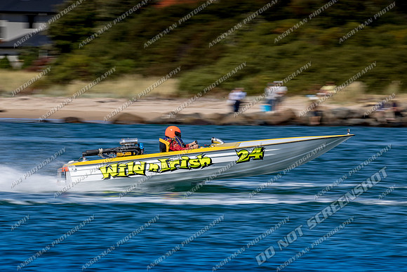 105MPH - Wild N Irish - Devonport Regatta 2018-18