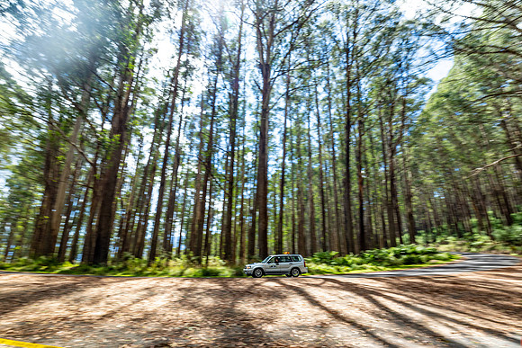 Course Car 1 - Sunday