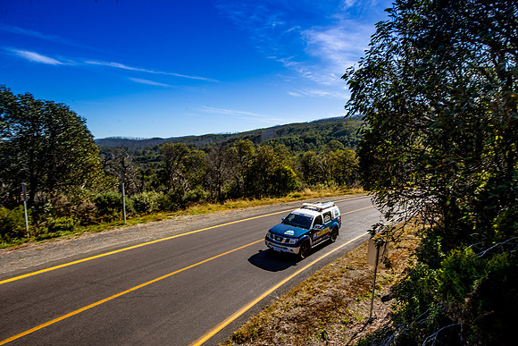 Safety 2 - Sunday-4