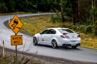TROPHY SWEEP - TS07 - Sideling - RM-2