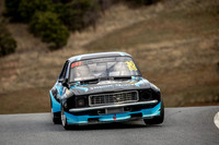 Sports Sedan 36 - TCRC Rnd 4 - Baskerville - 27th June 2021-12