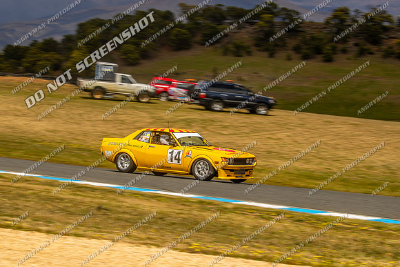 Muscle Car Cup - 14 - Baskerville Historics 2024-10