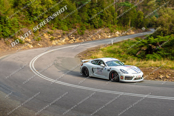 955 - TS10 - SIDELING - SG