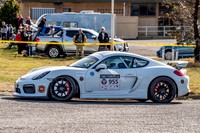 955 - TS03 - GEORGETOWN - SB-2