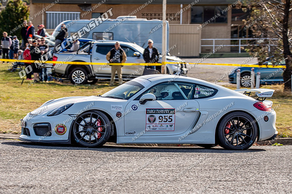 955 - TS03 - GEORGETOWN - SB-2