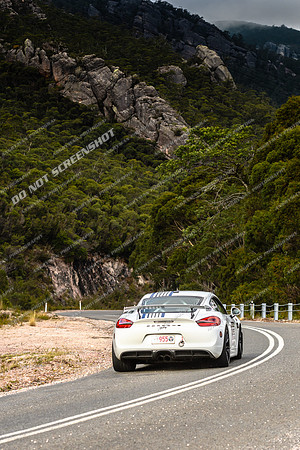 955 - TS09 - MT ROLAND - SG-2