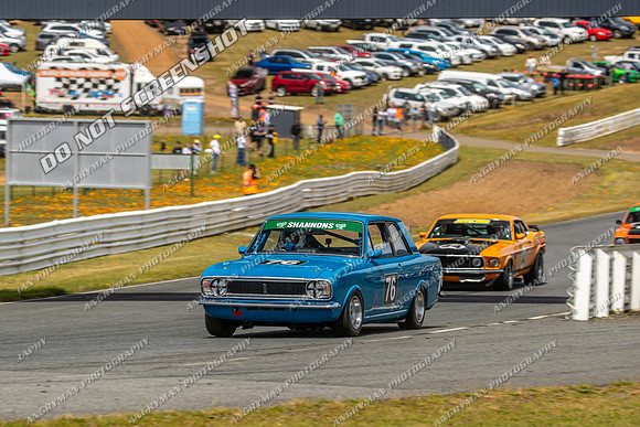 Group Nb & Nc Touring Cars - 76 - Baskerville Historics 2024-11