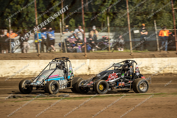 Wingless 42 T42 - 6 - Hobart - 11th Dec 2021-3