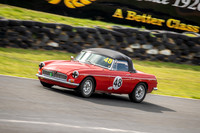 48 - Regularity - Marque Sportscars & Invited-15