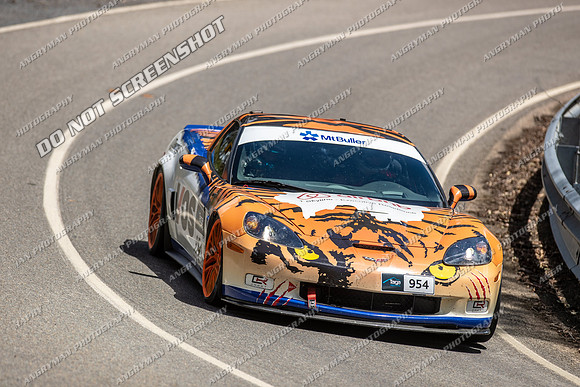 954 - TS11 - Tolmie - JL-2