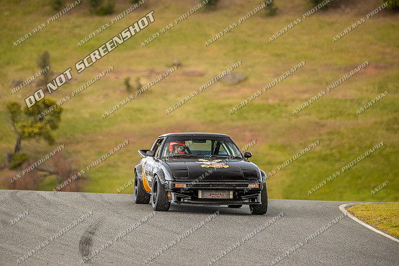 Muscle Car Cup - 74 - Baskerville Historics 2024-2