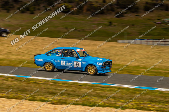 Muscle Car Cup - 9 - Baskerville Historics 2024-11