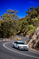 680 - TS03 - Little Mulgrave-2