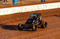 Wingless 11 T11 - Sunday-2