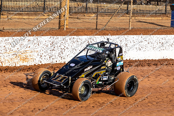 Wingless 11 T11 - Sunday