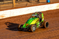 Wingless 12 T12 - Sunday