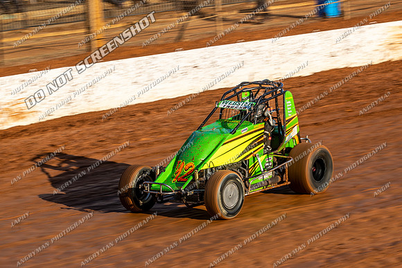 Wingless 12 T12 - Sunday