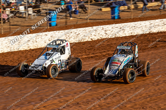 Wingless 14 T14 - Sunday-2