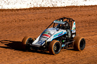 Wingless 14 T14 - Sunday