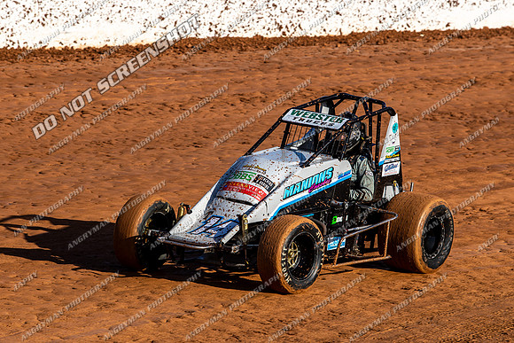 Wingless 14 T14 - Sunday