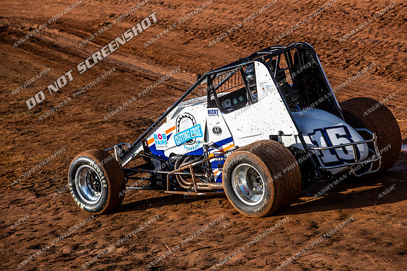 Wingless 15 T15 - Sunday