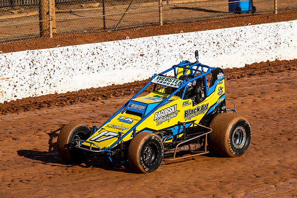 Wingless 17 T17 - Sunday