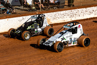 Wingless 22 T22 - Sunday