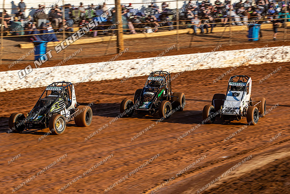 Wingless 4 T4 - Sunday