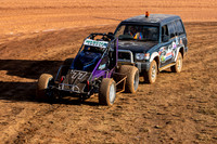 Wingless 77 T77 - Sunday