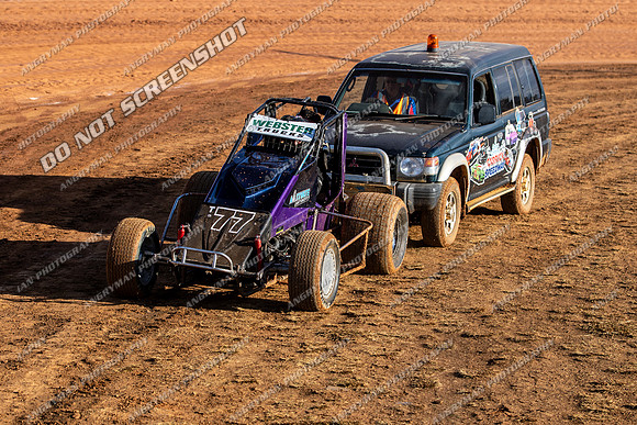 Wingless 77 T77 - Sunday