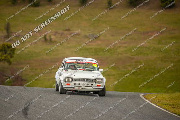 Muscle Car Cup - 49 - Baskerville Historics 2024-3