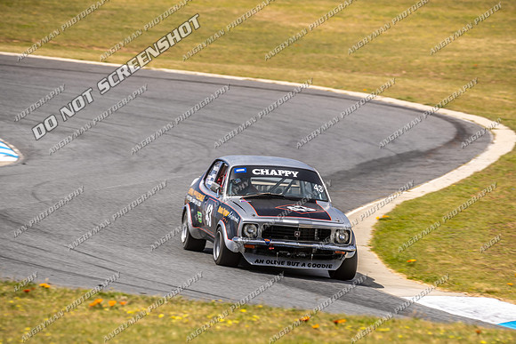 Regularity Sedans - 43 - Baskerville Historics 2024-4