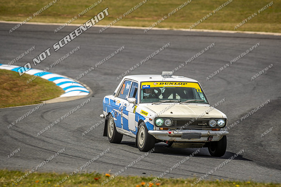Regularity Sedans - 72 - Baskerville Historics 2024-5
