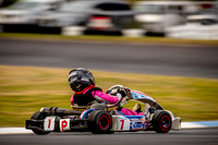 Cadet 9