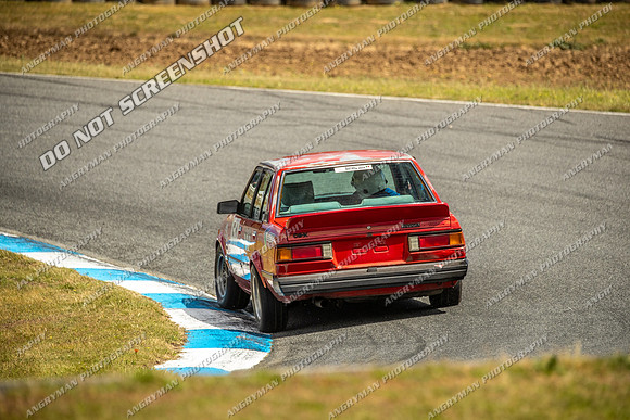 Regularity Sedans - 51 - Baskerville Historics 2024-9