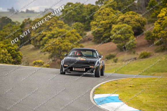 Muscle Car Cup - 74 - Baskerville Historics 2024-3