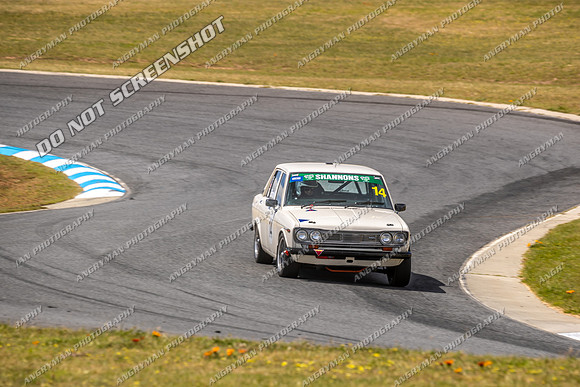 Regularity Sedans - 14 - Baskerville Historics 2024-4