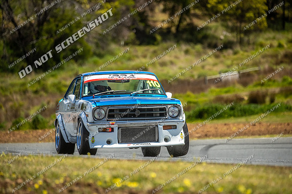 Muscle Car Cup - 110 - Baskerville Historics 2024-29