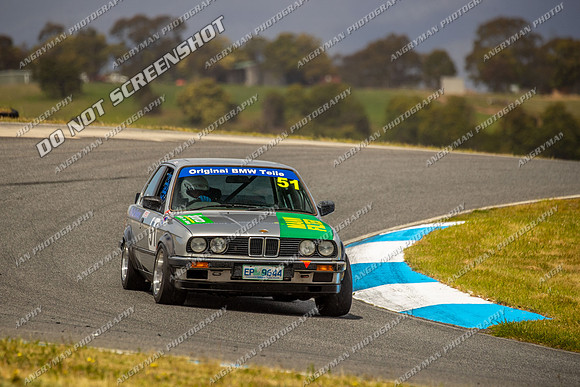 Muscle Car Cup - 51 - Baskerville Historics 2024-6
