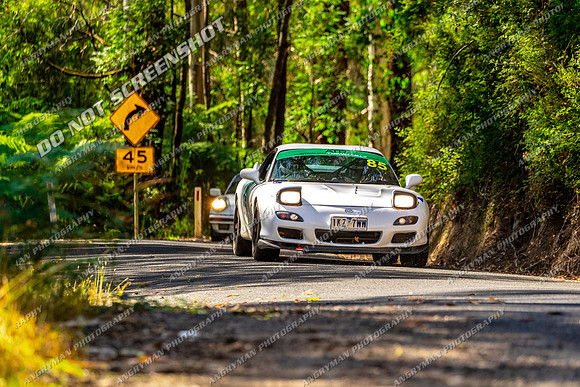 85 - Sunday GS-3