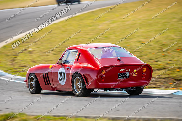 Regularity Sports & Racing & Invited - 250 - Baskerville Historics 2024-3