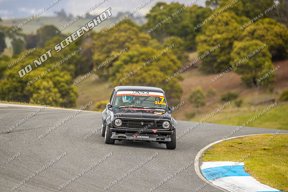 Muscle Car Cup - 7 - Baskerville Historics 2024-6