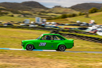 Muscle Car Cup - 38 - Baskerville Historics 2024-7