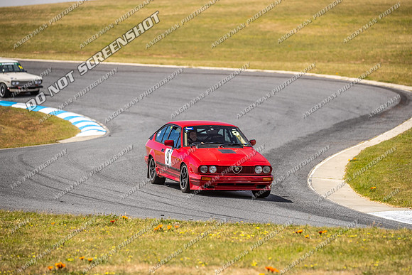 Regularity Sedans - 9 - Baskerville Historics 2024-3