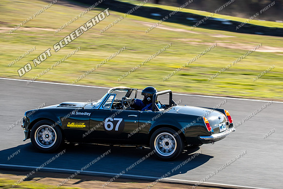 67 - Regularity - Marque Sportscars & Invited-3