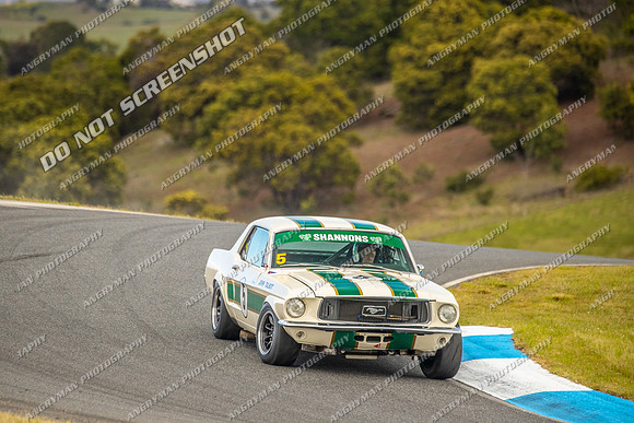 Group Nb & Nc Touring Cars - 5 - Baskerville Historics 2024-4