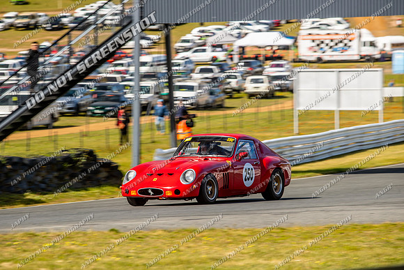 Regularity Sports & Racing & Invited - 250 - Baskerville Historics 2024-2