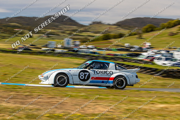 Muscle Car Cup - 87 - Baskerville Historics 2024-4