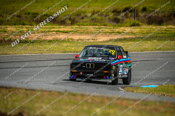 Muscle Car Cup - 20 - Baskerville Historics 2024-16