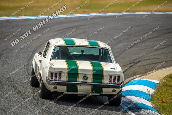 Group Nb & Nc Touring Cars - 5 - Baskerville Historics 2024-10